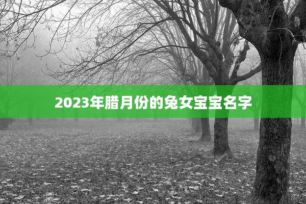 2023年腊月份的兔女宝宝名字