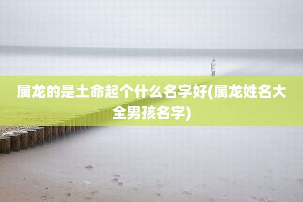 属龙的是土命起个什么名字好(属龙姓名大全男孩名字)