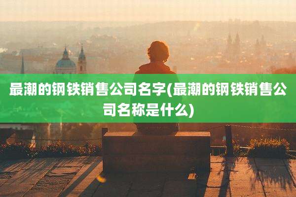 最潮的钢铁销售公司名字(最潮的钢铁销售公司名称是什么)