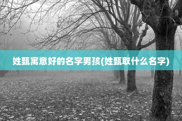 姓甄寓意好的名字男孩(姓甄取什么名字)