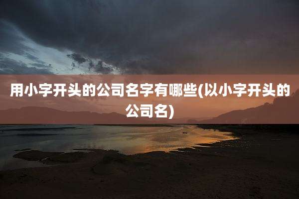 用小字开头的公司名字有哪些(以小字开头的公司名)