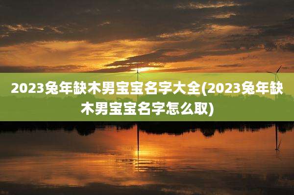 2023兔年缺木男宝宝名字大全(2023兔年缺木男宝宝名字怎么取)