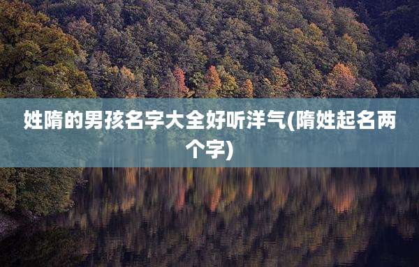姓隋的男孩名字大全好听洋气(隋姓起名两个字)