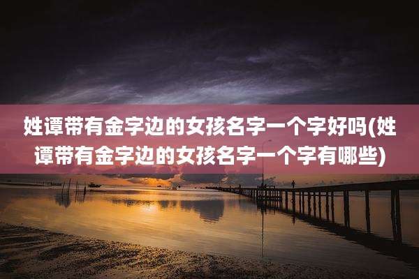 姓谭带有金字边的女孩名字一个字好吗(姓谭带有金字边的女孩名字一个字有哪些)