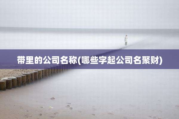 带里的公司名称(哪些字起公司名聚财)