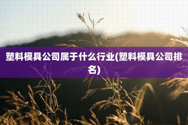 塑料模具公司属于什么行业(塑料模具公司排名)