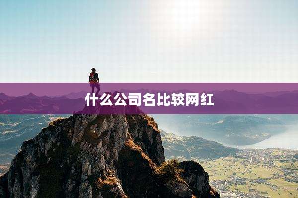 什么公司名比较网红