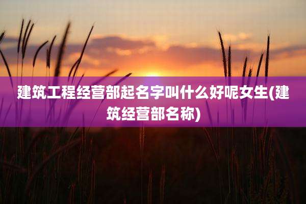 建筑工程经营部起名字叫什么好呢女生(建筑经营部名称)
