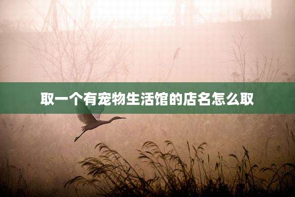 取一个有宠物生活馆的店名怎么取