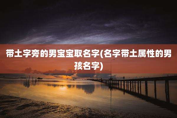 带土字旁的男宝宝取名字(名字带土属性的男孩名字)