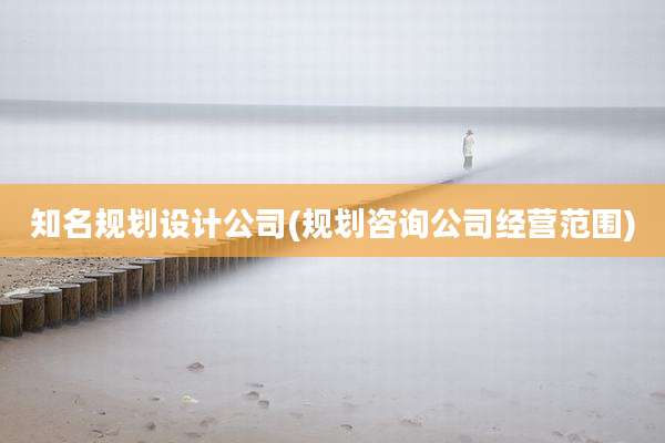 知名规划设计公司(规划咨询公司经营范围)