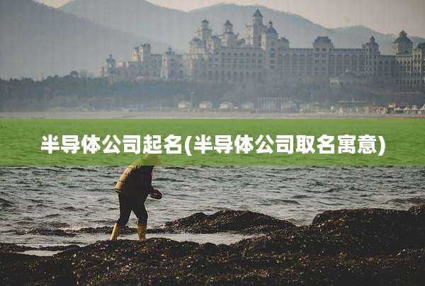 半导体公司起名(半导体公司取名寓意)