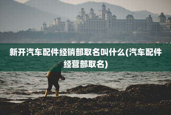 新开汽车配件经销部取名叫什么(汽车配件经营部取名)