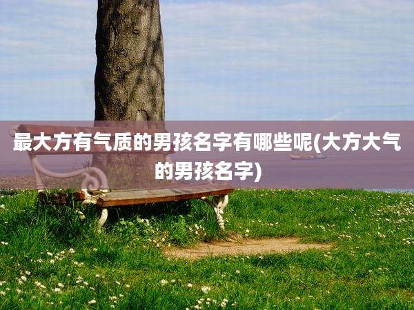 最大方有气质的男孩名字有哪些呢(大方大气的男孩名字)