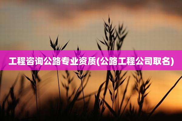 工程咨询公路专业资质(公路工程公司取名)