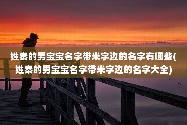 姓秦的男宝宝名字带米字边的名字有哪些(姓秦的男宝宝名字带米字边的名字大全)
