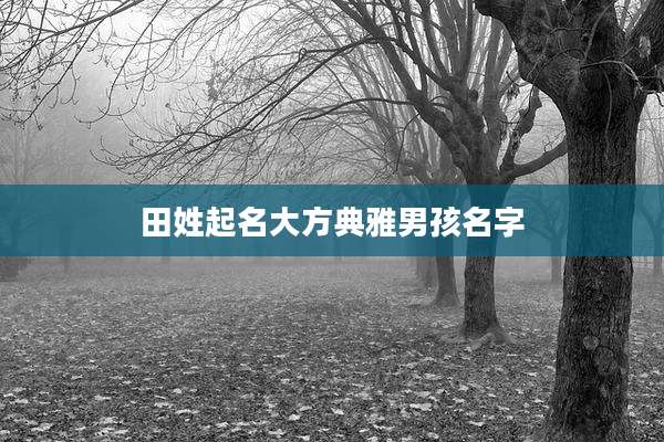 田姓起名大方典雅男孩名字