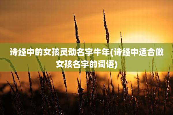 诗经中的女孩灵动名字牛年(诗经中适合做女孩名字的词语)