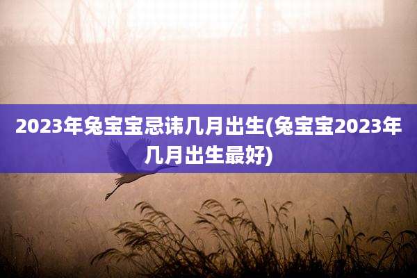 2023年兔宝宝忌讳几月出生(兔宝宝2023年几月出生最好)