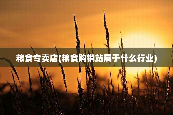 粮食专卖店(粮食购销站属于什么行业)