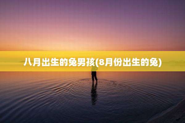 八月出生的兔男孩(8月份出生的兔)