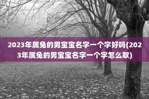 2023年属兔的男宝宝名字一个字好吗(2023年属兔的男宝宝名字一个字怎么取)