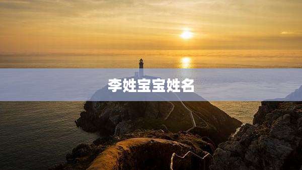 李姓宝宝姓名