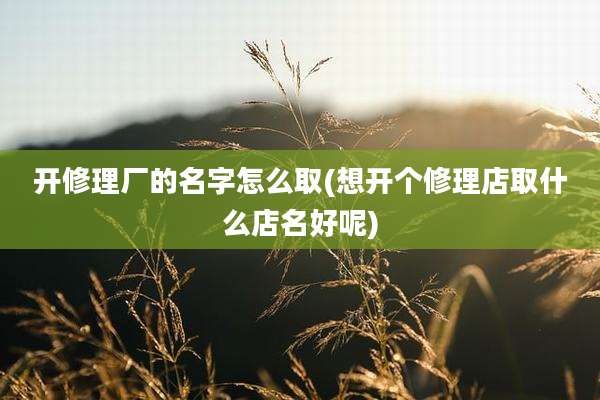 开修理厂的名字怎么取(想开个修理店取什么店名好呢)