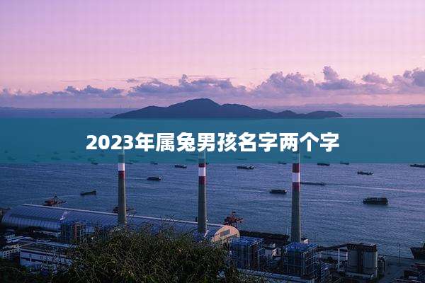2023年属兔男孩名字两个字