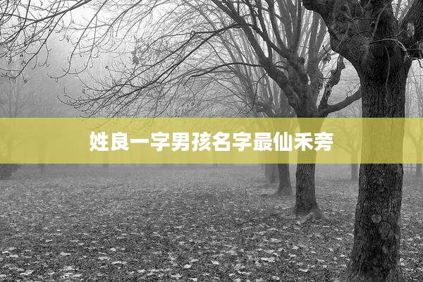 姓良一字男孩名字最仙禾旁