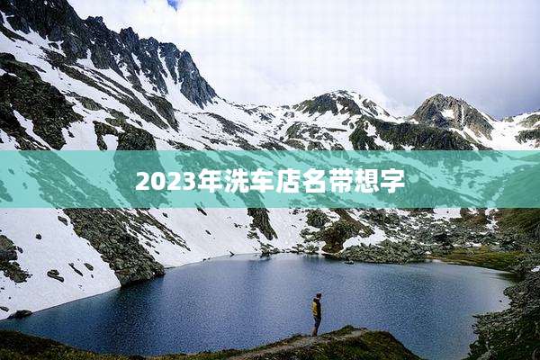 2023年洗车店名带想字