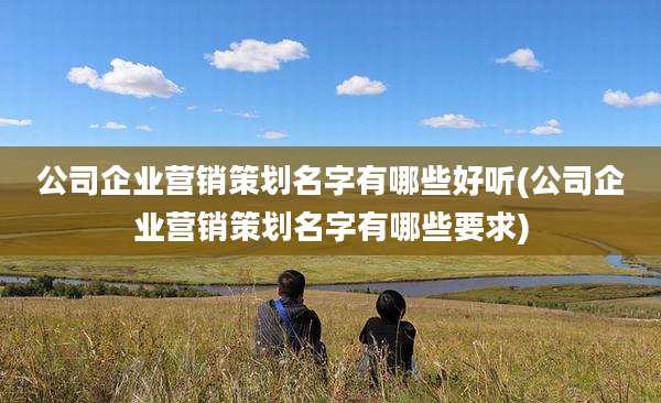 公司企业营销策划名字有哪些好听(公司企业营销策划名字有哪些要求)