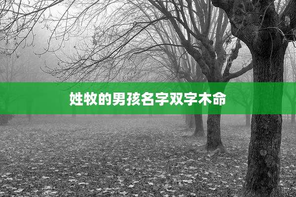姓牧的男孩名字双字木命