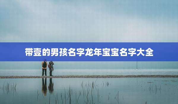 带壹的男孩名字龙年宝宝名字大全
