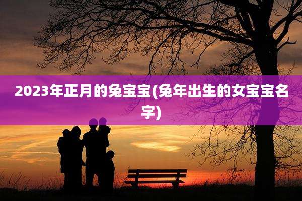 2023年正月的兔宝宝(兔年出生的女宝宝名字)