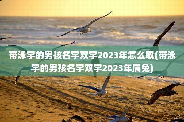 带泳字的男孩名字双字2023年怎么取(带泳字的男孩名字双字2023年属兔)
