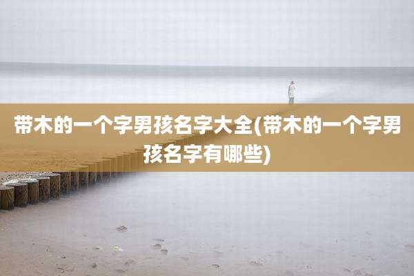 带木的一个字男孩名字大全(带木的一个字男孩名字有哪些)