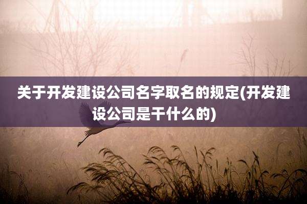 关于开发建设公司名字取名的规定(开发建设公司是干什么的)