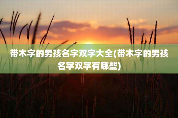 带木字的男孩名字双字大全(带木字的男孩名字双字有哪些)