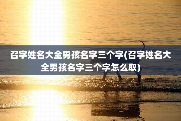 召字姓名大全男孩名字三个字(召字姓名大全男孩名字三个字怎么取)