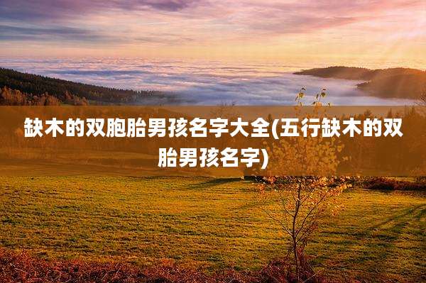 缺木的双胞胎男孩名字大全(五行缺木的双胎男孩名字)