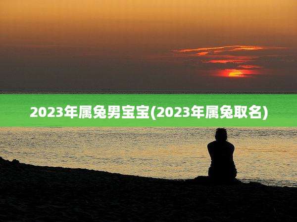 2023年属兔男宝宝(2023年属兔取名)