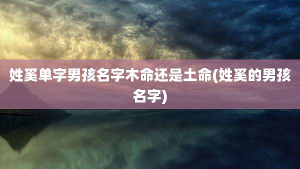 姓奚单字男孩名字木命还是土命(姓奚的男孩名字)