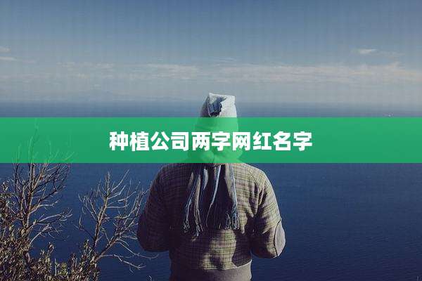 种植公司两字网红名字