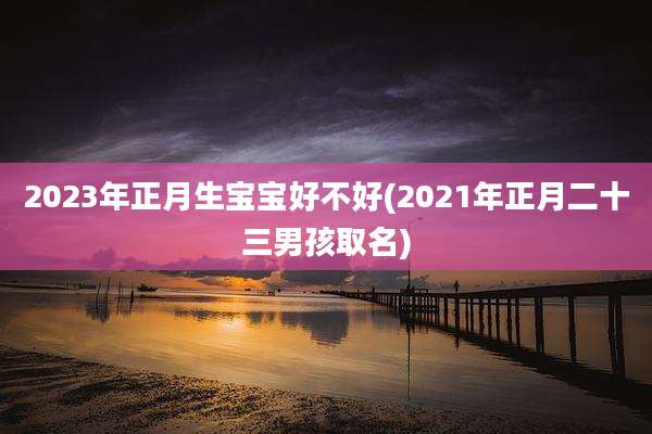 2023年正月生宝宝好不好(2021年正月二十三男孩取名)