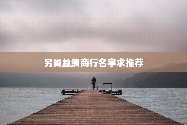 另类丝绸商行名字求推荐