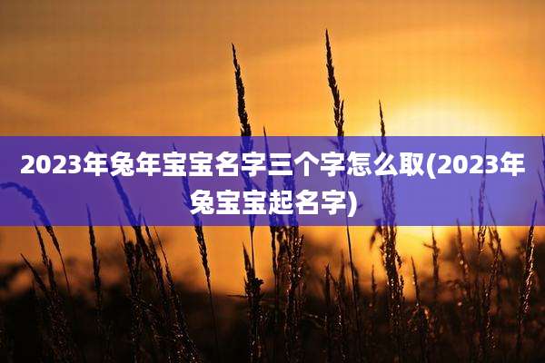 2023年兔年宝宝名字三个字怎么取(2023年兔宝宝起名字)