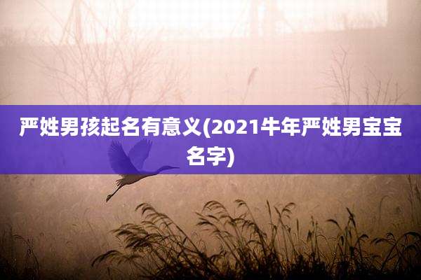 严姓男孩起名有意义(2021牛年严姓男宝宝名字)