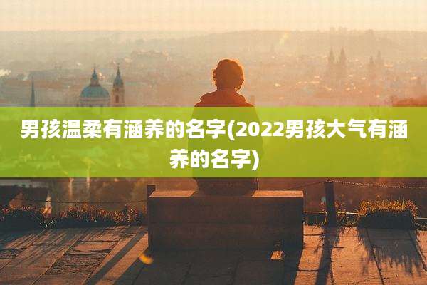 男孩温柔有涵养的名字(2022男孩大气有涵养的名字)