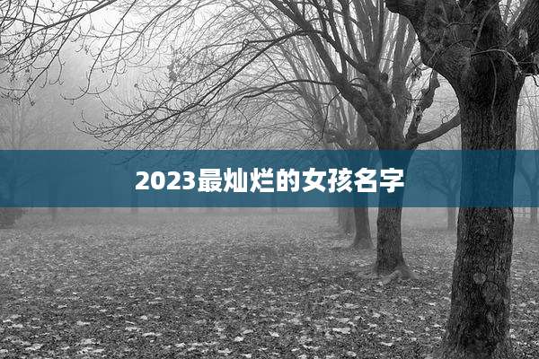 2023最灿烂的女孩名字